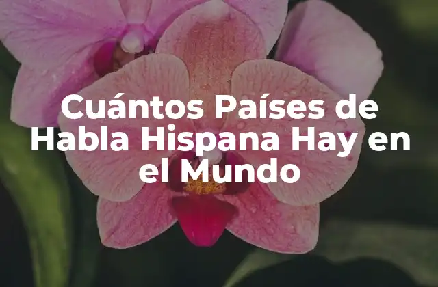 Cuántos Países de Habla Hispana Hay en el Mundo