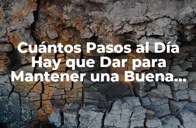 Cuántos Pasos Al Día Hay que Dar para Mantener una Buena Salud