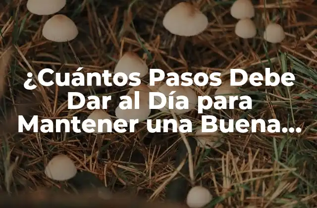 ¿cuántos Pasos Debe Dar Al Día para Mantener una Buena Salud? 2 ¿Por qué son Importantes los Pasos Diarios?