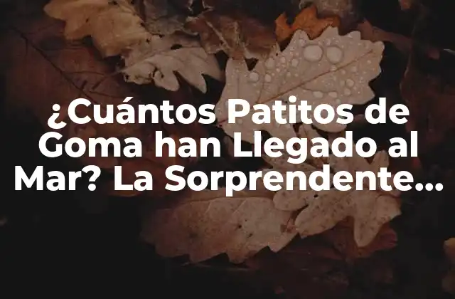 ¿cuántos Patitos de Goma Han Llegado Al Mar? la Sorprendente Realidad