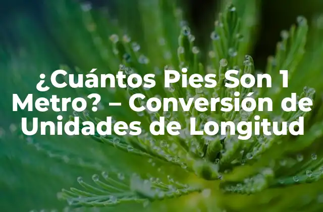 ¿cuántos Pies Son 1 Metro? – Conversión de Unidades de Longitud