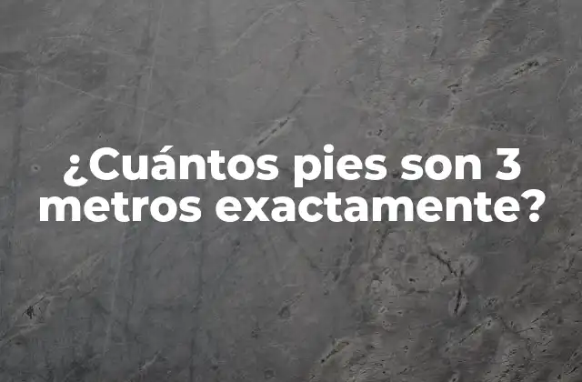 ¿cuántos Pies Son 3 Metros Exactamente?
