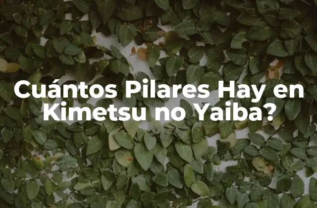 Cuántos Pilares Hay en Kimetsu No Yaiba?
