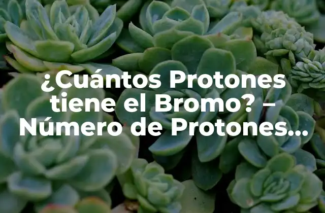 ¿cuántos Protones Tiene el Bromo? – Número de Protones Del Bromo