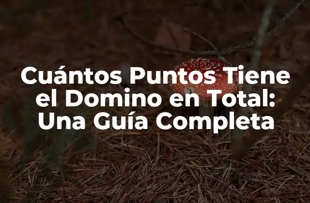 Cuántos Puntos Tiene el Domino en Total: una Guía Completa