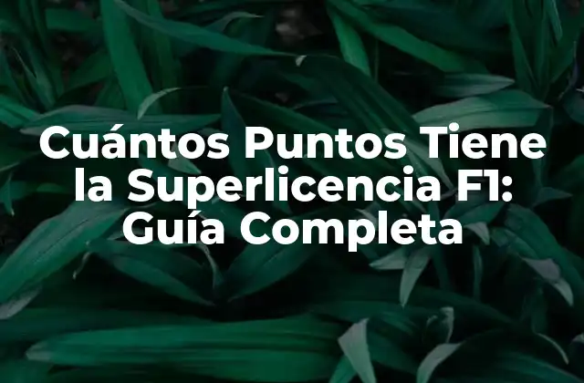 ¿Qué es la Superlicencia F1?