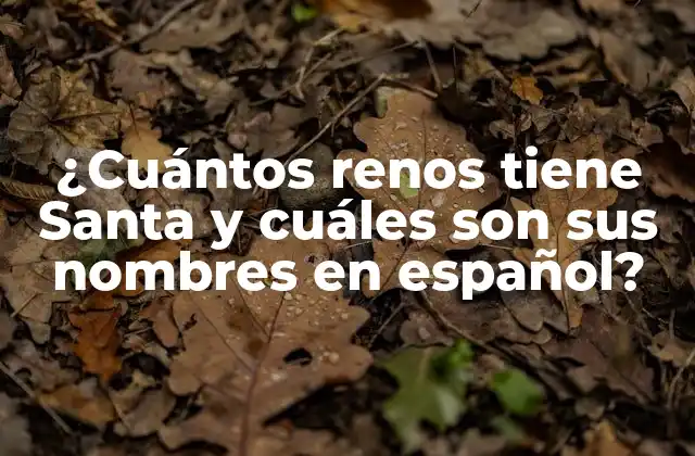 ¿cuántos Renos Tiene Santa y Cuáles Son Sus Nombres en Español?