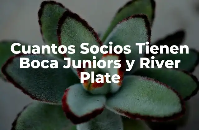 Cuantos Socios Tienen Boca Juniors y River Plate