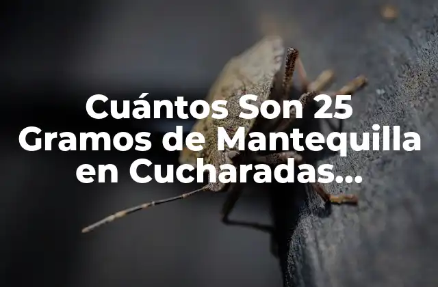 Cuántos Son 25 Gramos de Mantequilla en Cucharadas, Cucharaditas y Otros Medios