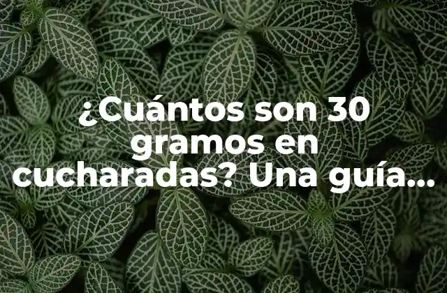 ¿cuántos Son 30 Gramos en Cucharadas? una Guía Práctica 2 Importancia de la medición precisa en la cocina