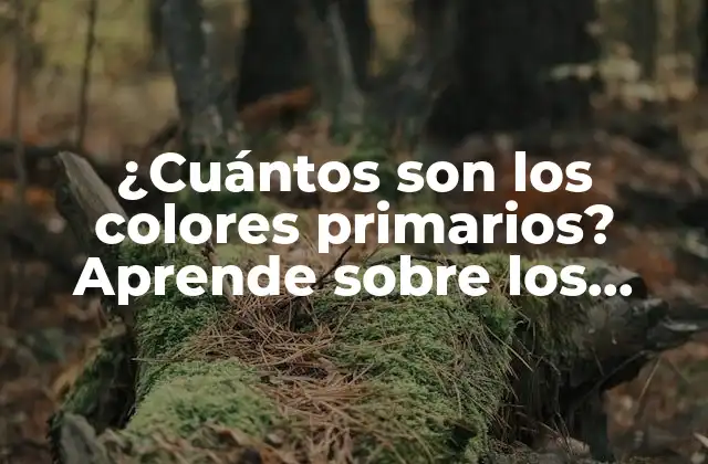 ¿cuántos Son los Colores Primarios? Aprende sobre los Fundamentos Del Color