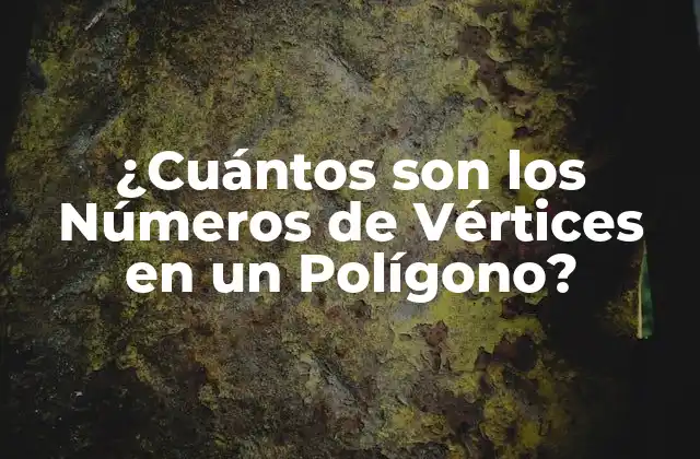 ¿cuántos Son los Números de Vértices en un Polígono?
