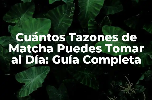 Cuántos Tazones de Matcha Puedes Tomar Al Día: Guía Completa