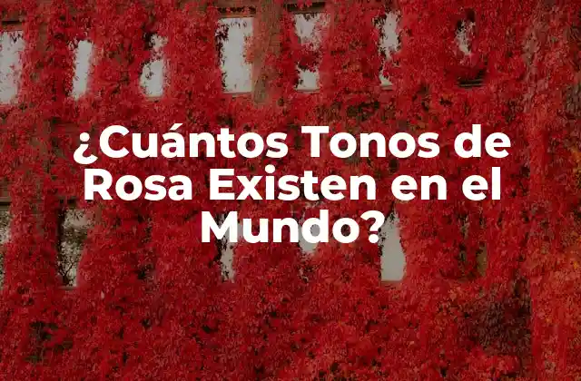 ¿cuántos Tonos de Rosa Existen en el Mundo?