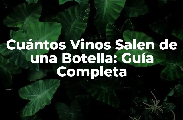 Cuántos Vinos Salen de una Botella: Guía Completa