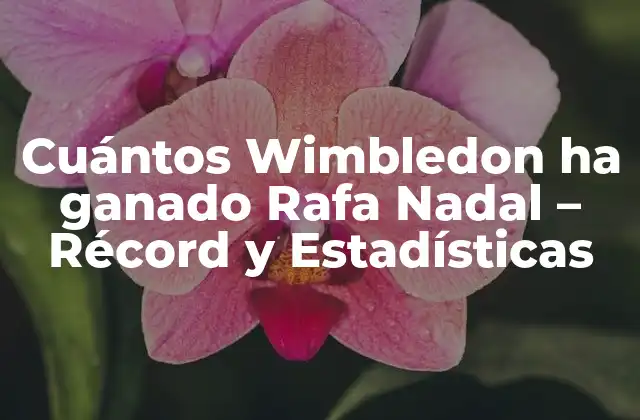 El comienzo de la carrera de Nadal en Wimbledon