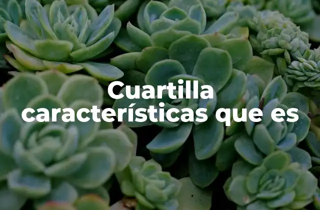 Cuartilla Características que es
