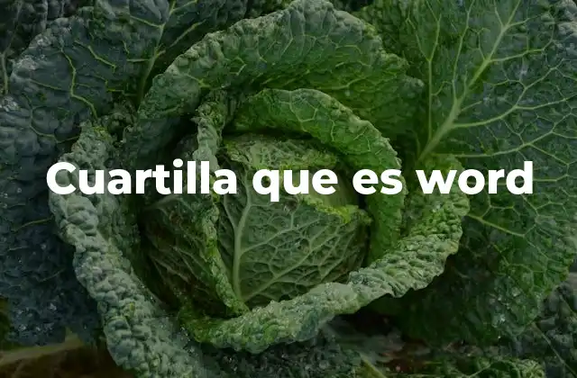 Cuartilla que es Word