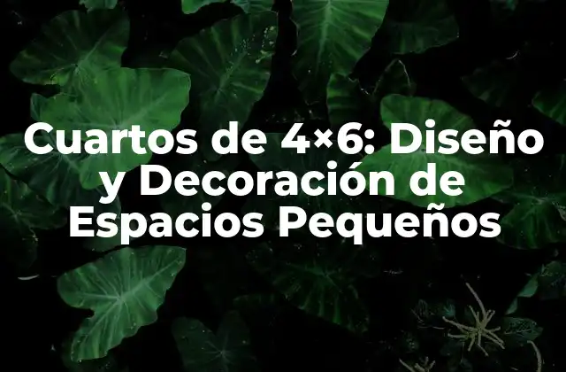 Cuartos de 4×6: Diseño y Decoración de Espacios Pequeños