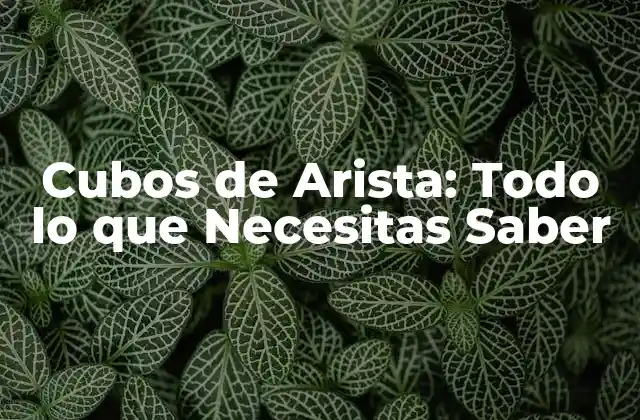 Cubos de Arista: Todo Lo que Necesitas Saber