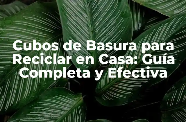 Cubos de Basura para Reciclar en Casa: Guía Completa y Efectiva