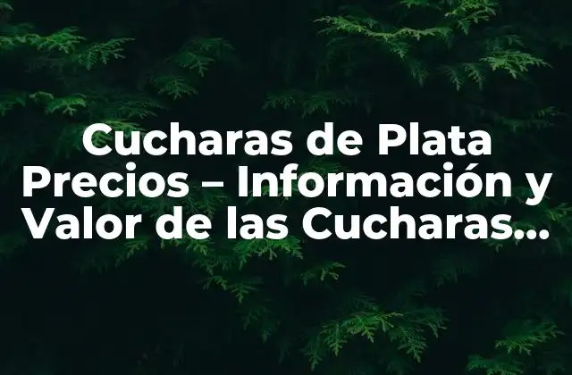 Cucharas de Plata Precios – Información y Valor de las Cucharas de Plata Antiguas