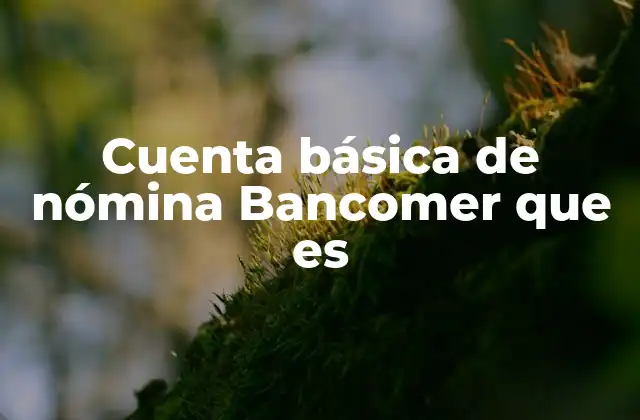 Cuenta Básica de Nómina Bancomer que es 2 Cómo funciona una cuenta de nómina en Bancomer