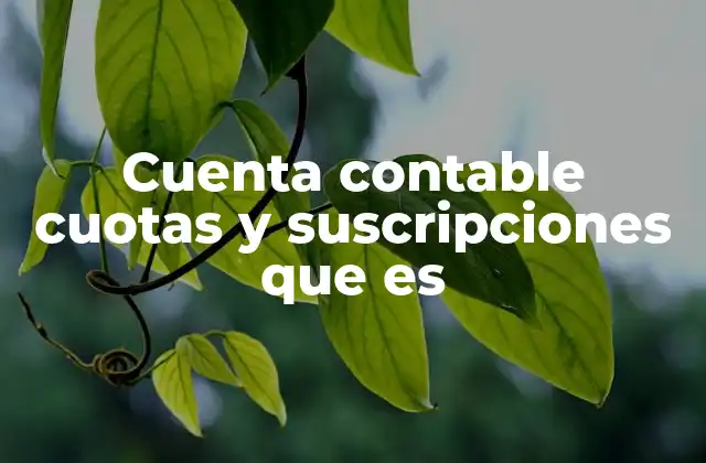 Cuenta Contable Cuotas y Suscripciones que es