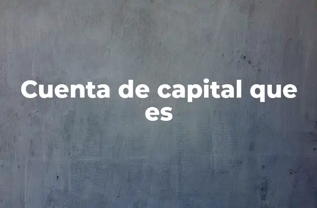 Cuenta de Capital que es