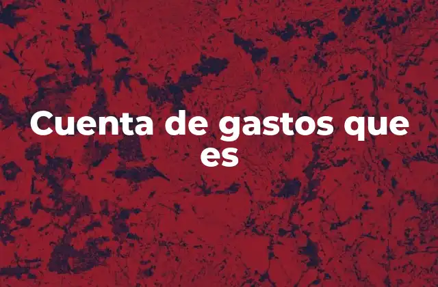 Cuenta de Gastos que es