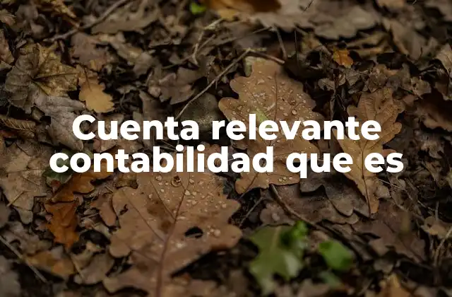 Cuenta Relevante Contabilidad que es