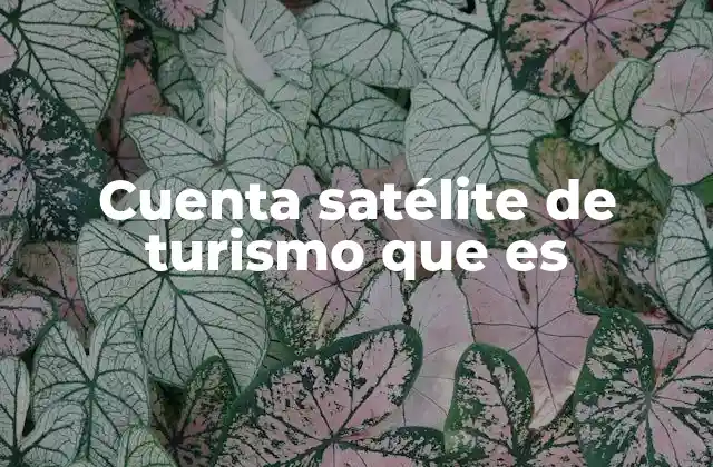 Cuenta Satélite de Turismo que es
