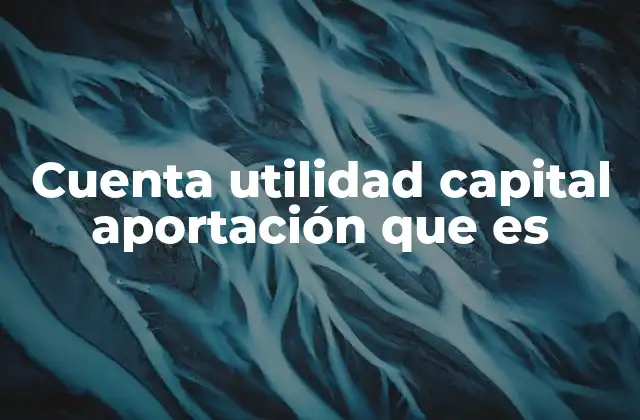 Cuenta Utilidad Capital Aportación que es