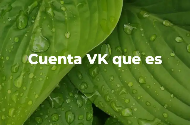Cuenta Vk que es