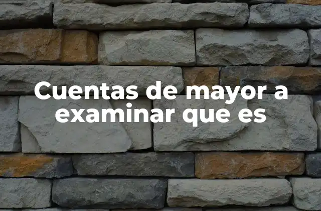 Cuentas de Mayor a Examinar que es