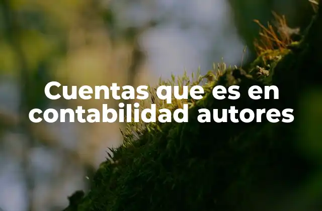 Cuentas que es en Contabilidad Autores