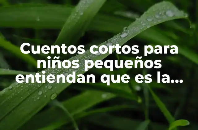 Cuentos Cortos para Niños Pequeños Entiendan que es la Democracia