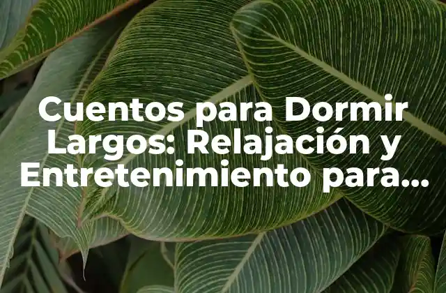 Cuentos para Dormir Largos: Relajación y Entretenimiento para Niños y Adultos