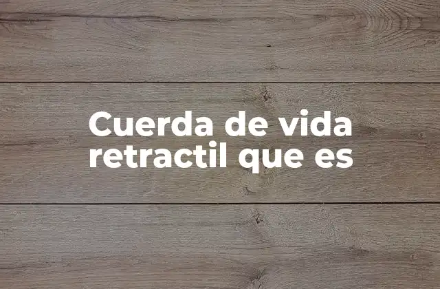 Cuerda de Vida Retractil que es