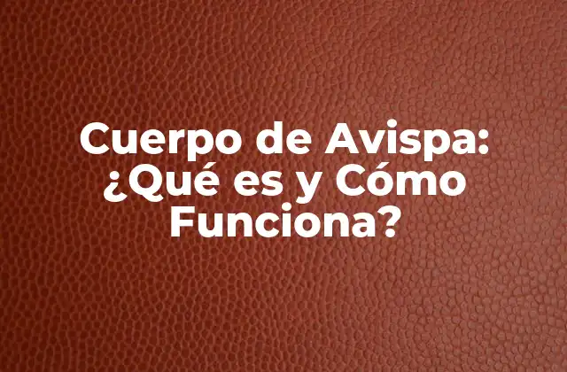 Cuerpo de Avispa: ¿qué es y Cómo Funciona? 2 Características del Cuerpo de Avispa