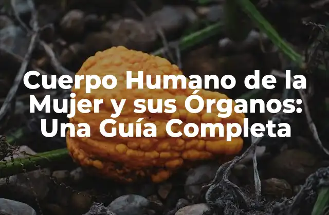 Cuerpo Humano de la Mujer y Sus Órganos: una Guía Completa