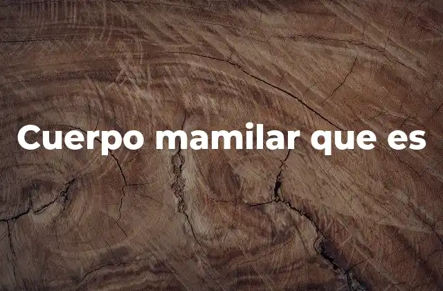 Cuerpo Mamilar que es