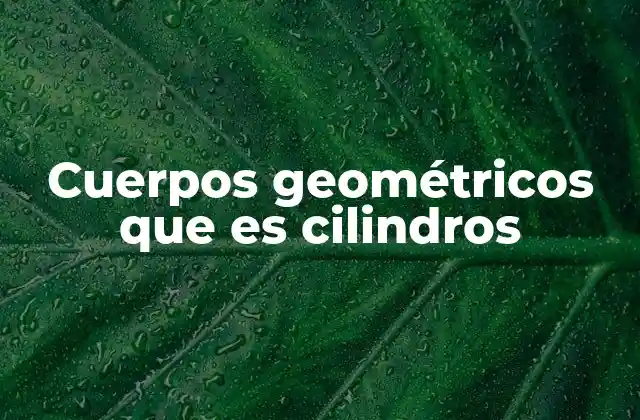 Cuerpos Geométricos que es Cilindros