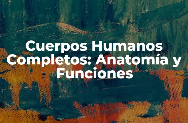 Cuerpos Humanos Completos: Anatomía y Funciones 2 La Anatomía del Cuerpo Humano Completo