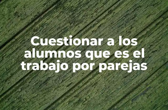 Cuestionar a los Alumnos que es el Trabajo por Parejas