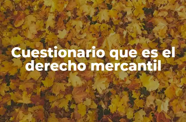 Cuestionario que es el Derecho Mercantil