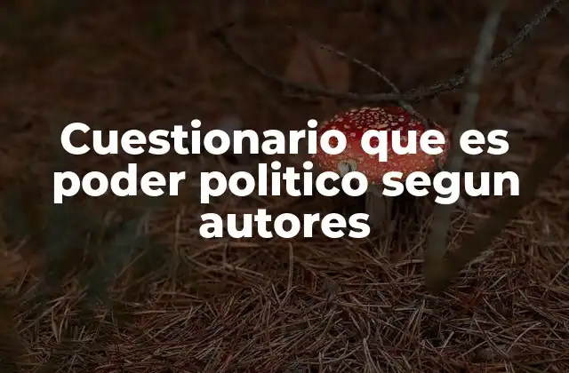 Cuestionario que es Poder Politico Segun Autores