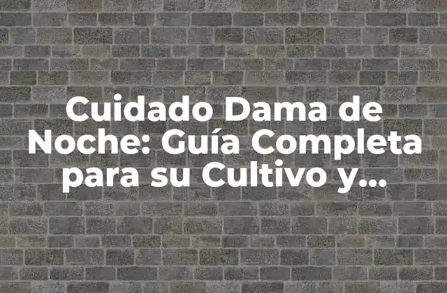 Cuidado Dama de Noche: Guía Completa para Su Cultivo y Crecimiento