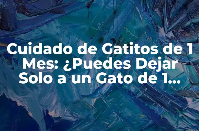 Cuidado de Gatitos de 1 Mes: ¿puedes Dejar Solo a un Gato de 1 Mes?