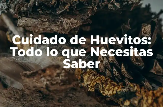 Cuidado de Huevitos: Todo Lo que Necesitas Saber